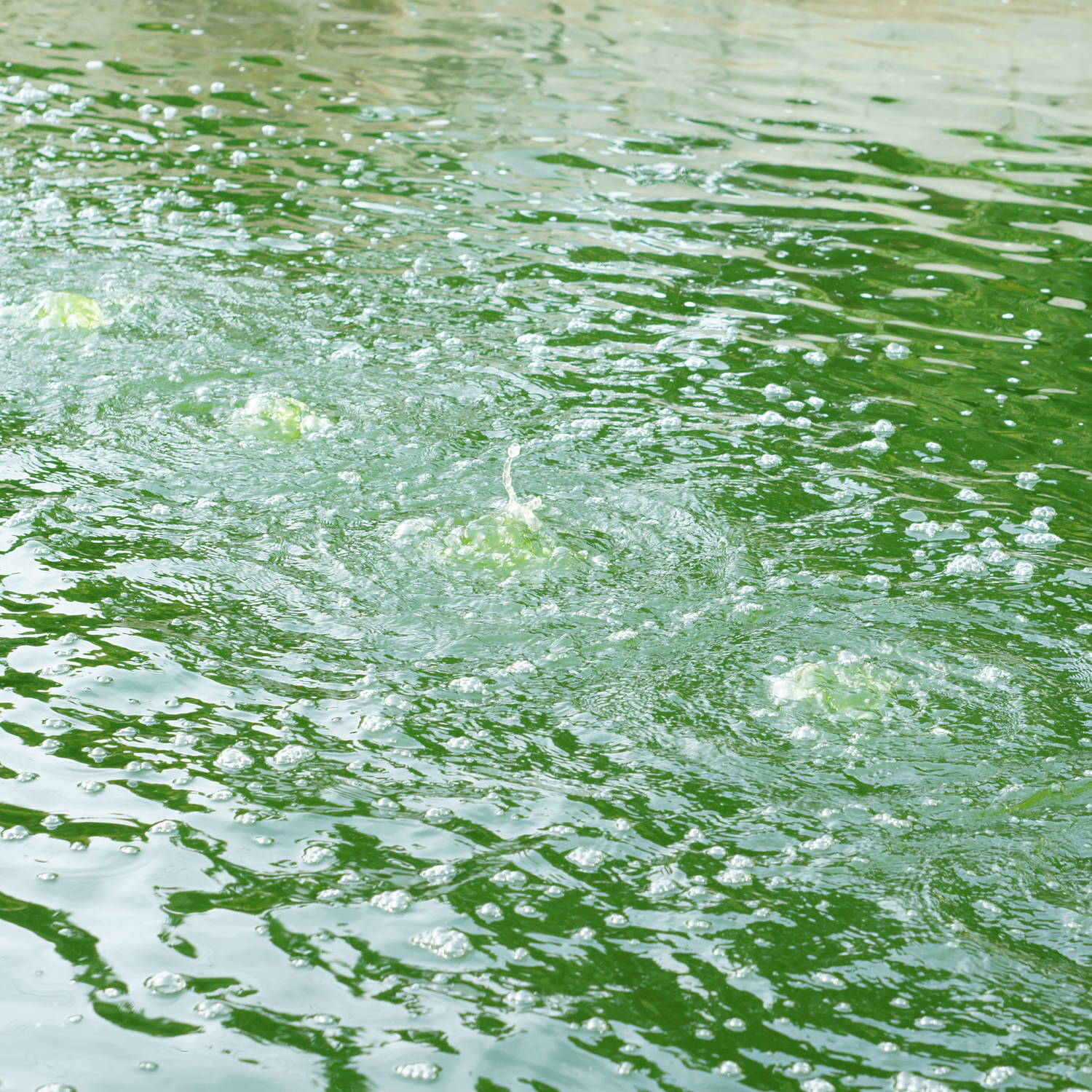 Bombas Sumergibles para Aguas Residuales