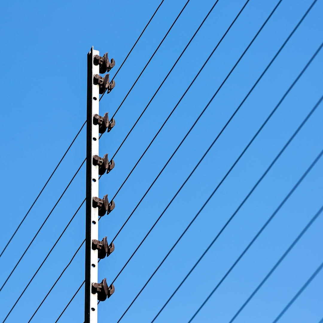 Cercas Electrificadas