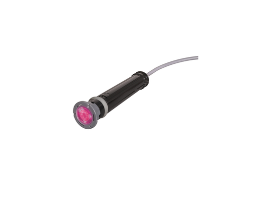 ColorLogic® 320 LED Light with 100' Cord 12V