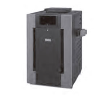 Calentador Serie A P-R366A E natural, Calentador